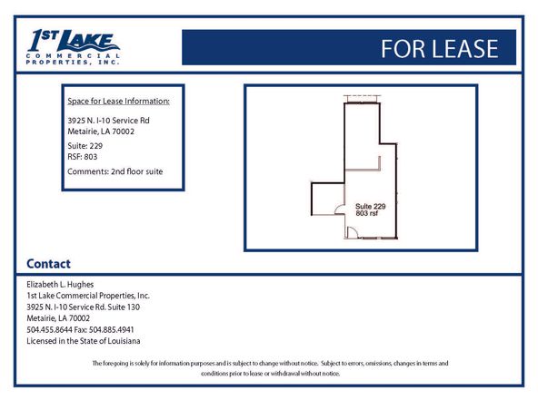 Suite 229